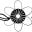 toroid.com