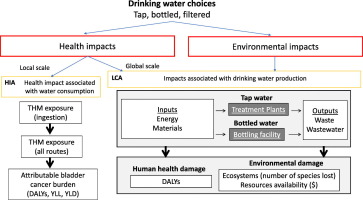 www.sciencedirect.com