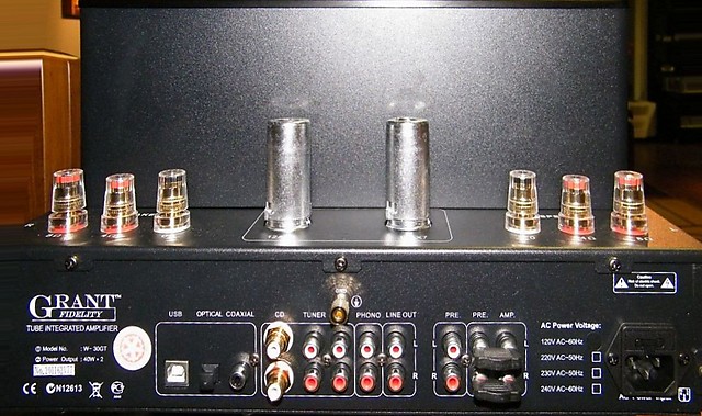 Grant-Fidelity-W-30GT-integrated-amplifier-rear-view.jpg