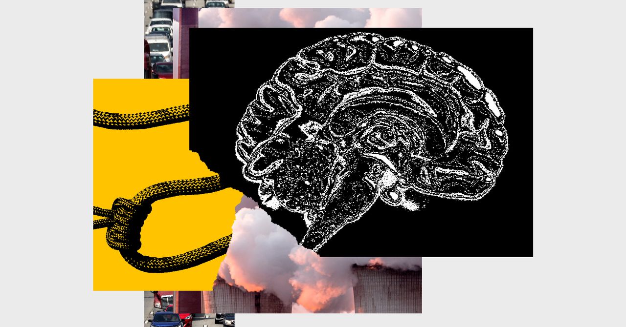 www.wired.com